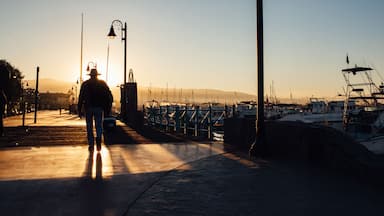 Sunrise at the harbor in Baja California