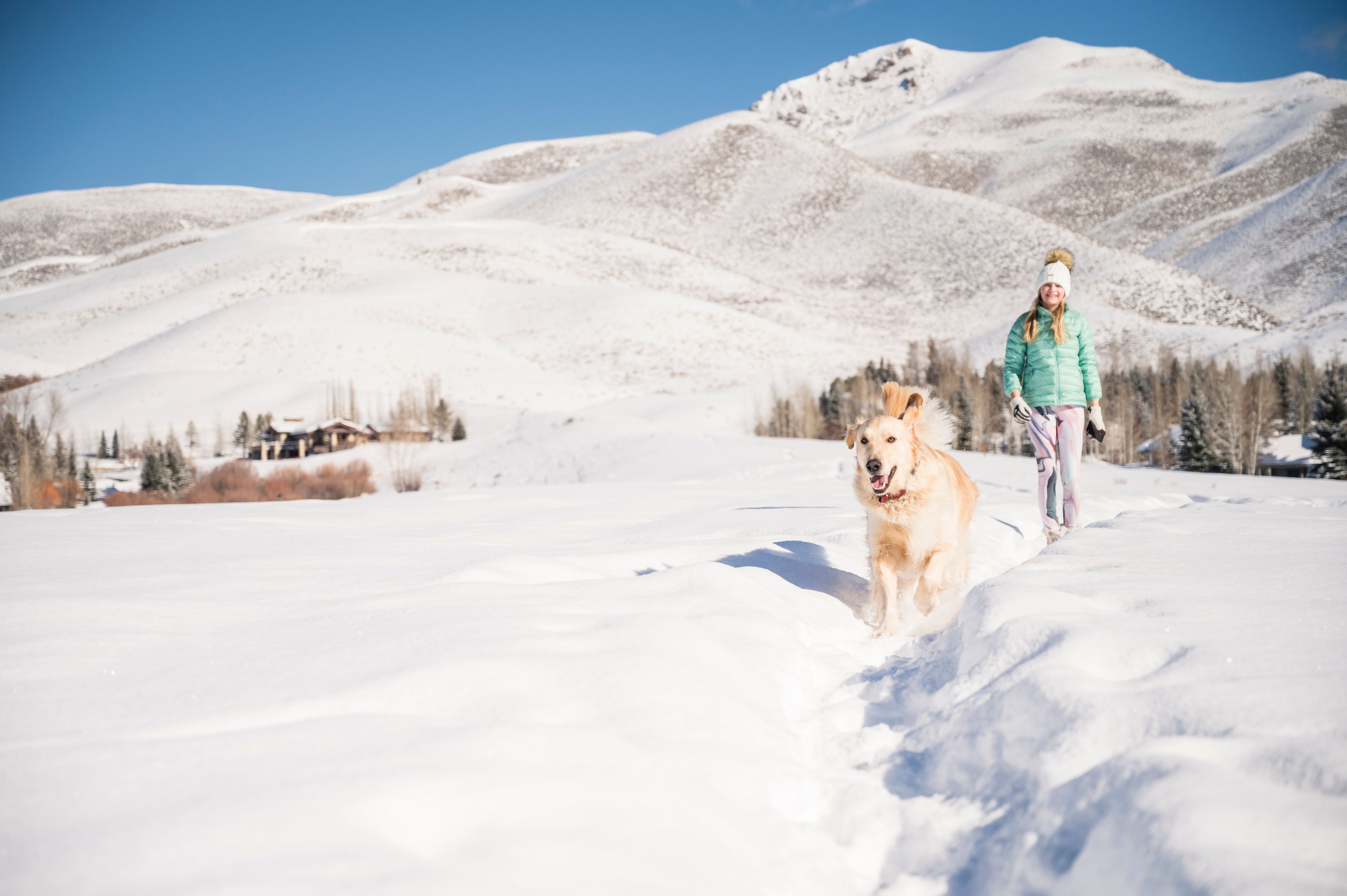 A snowy landscape with a person and a dog.