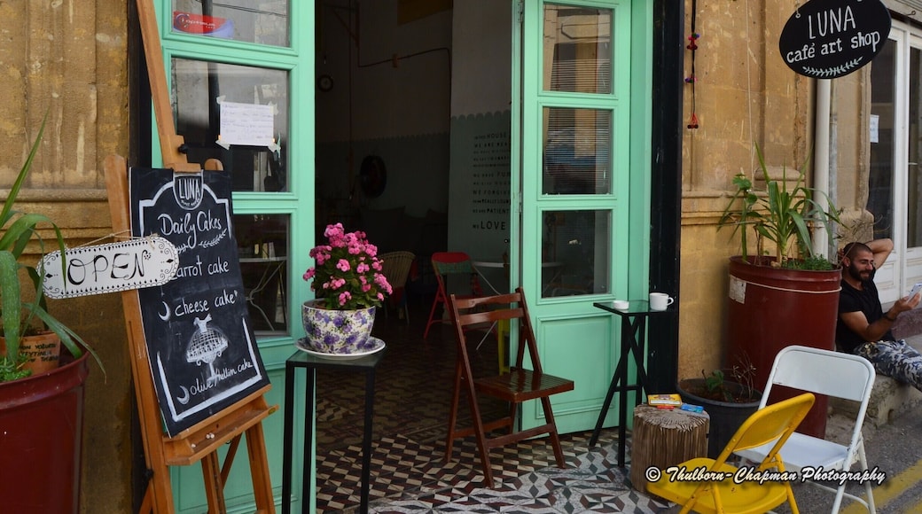 Fabulous little place hidden away down the narrow back streets behind the KKTC Tourism building.
Address: Uray st.6 Nicosia (Lefkosa), north Cyprus
#Troveon
More photos: FineArtAmerica http://fineartamerica.com/profiles/michele-thulborn-chapman.html