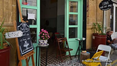 Fabulous little place hidden away down the narrow back streets behind the KKTC Tourism building.
Address: Uray st.6 Nicosia (Lefkosa), north Cyprus
#Troveon
More photos: FineArtAmerica http://fineartamerica.com/profiles/michele-thulborn-chapman.html