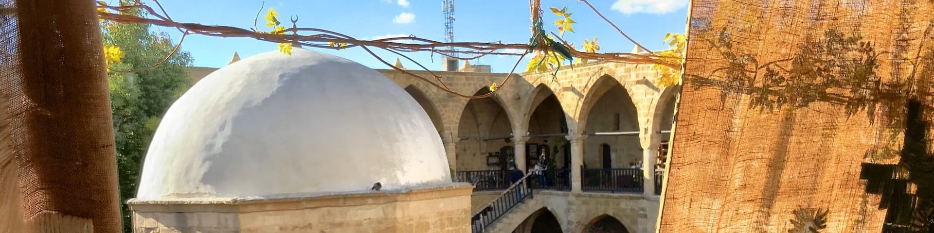 I like this place...