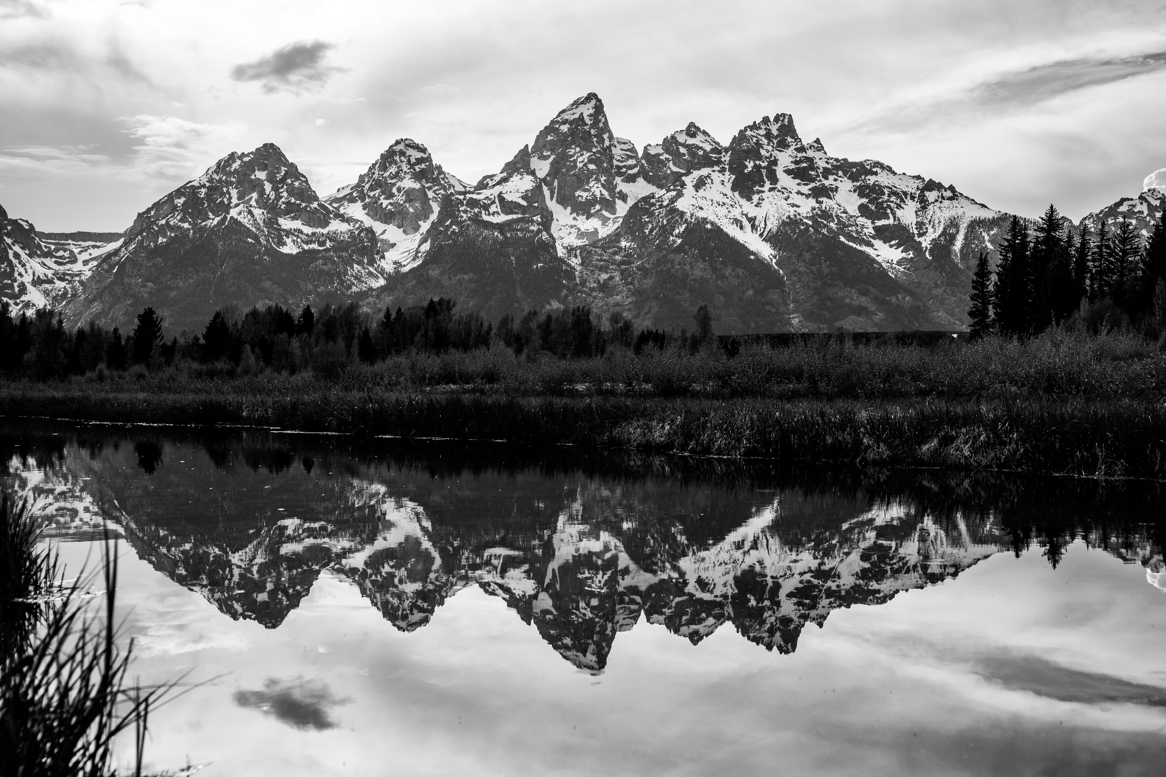 Teton in black and white