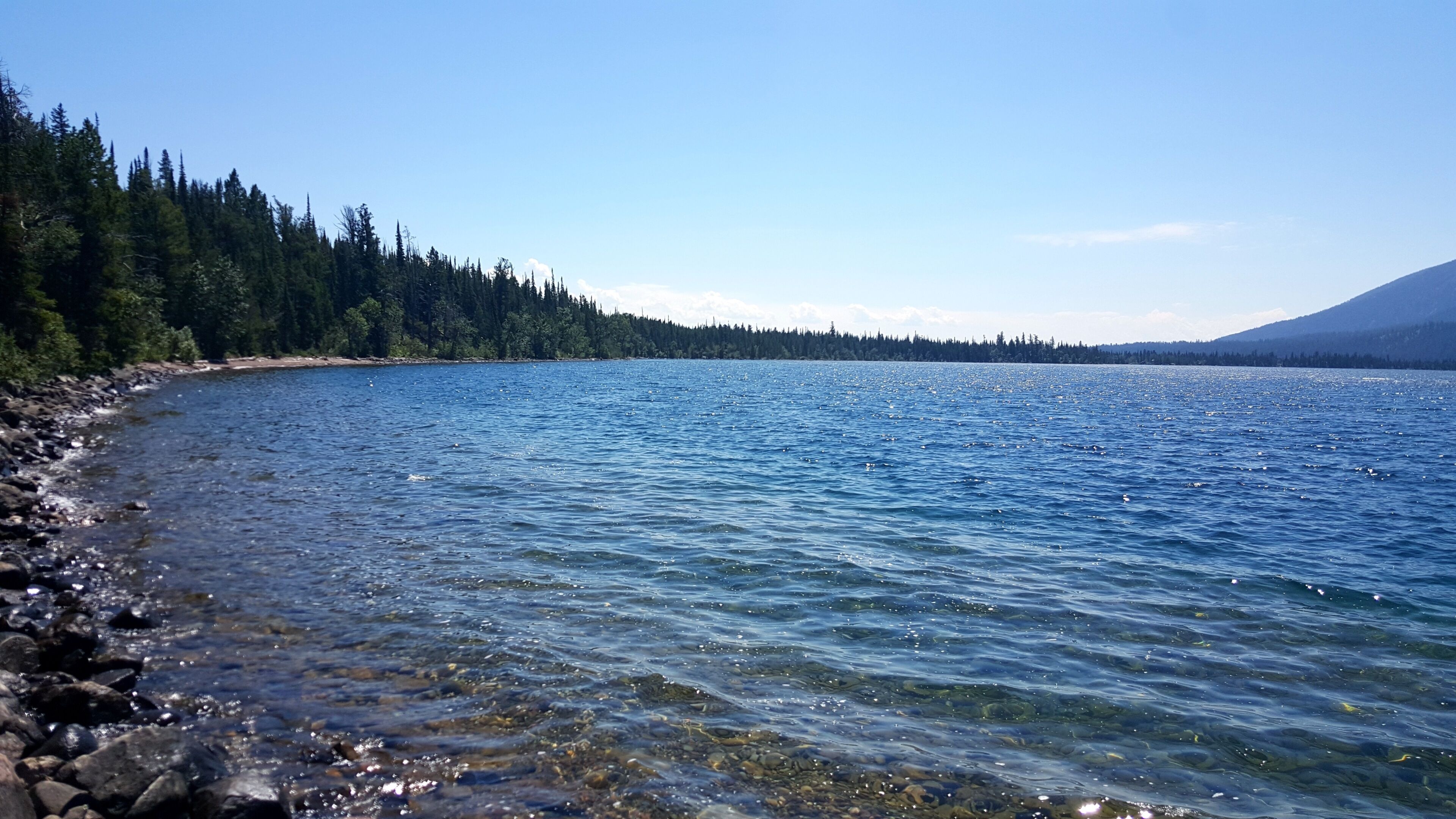 Scenic Shore of Jenny Lake at Grand Teton National Park 