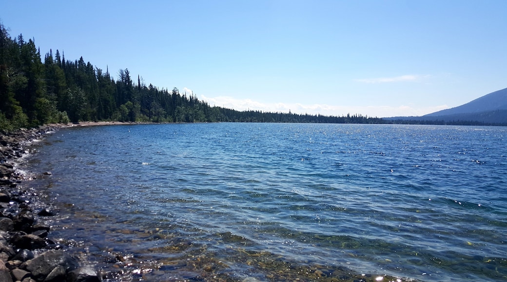 Scenic Shore of Jenny Lake at Grand Teton National Park