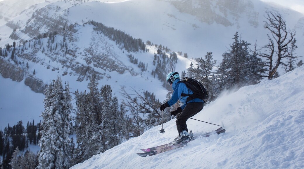 Skiing down from the top of the mountain