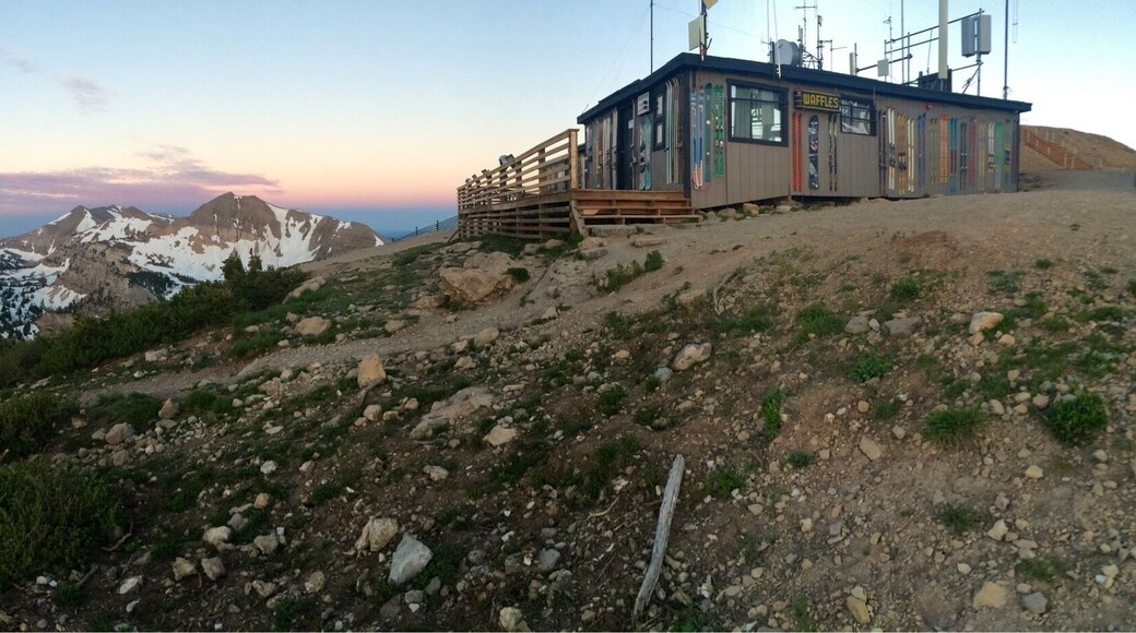 Top of the tram. Lucky me got to watch the sun set and rise from up here!