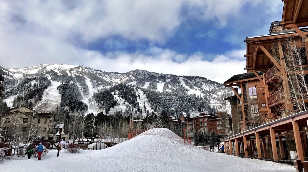 Still one of our favorite destinations, Jackson Hole never disappoints. Winter or summer you canât go wrong! #mountains