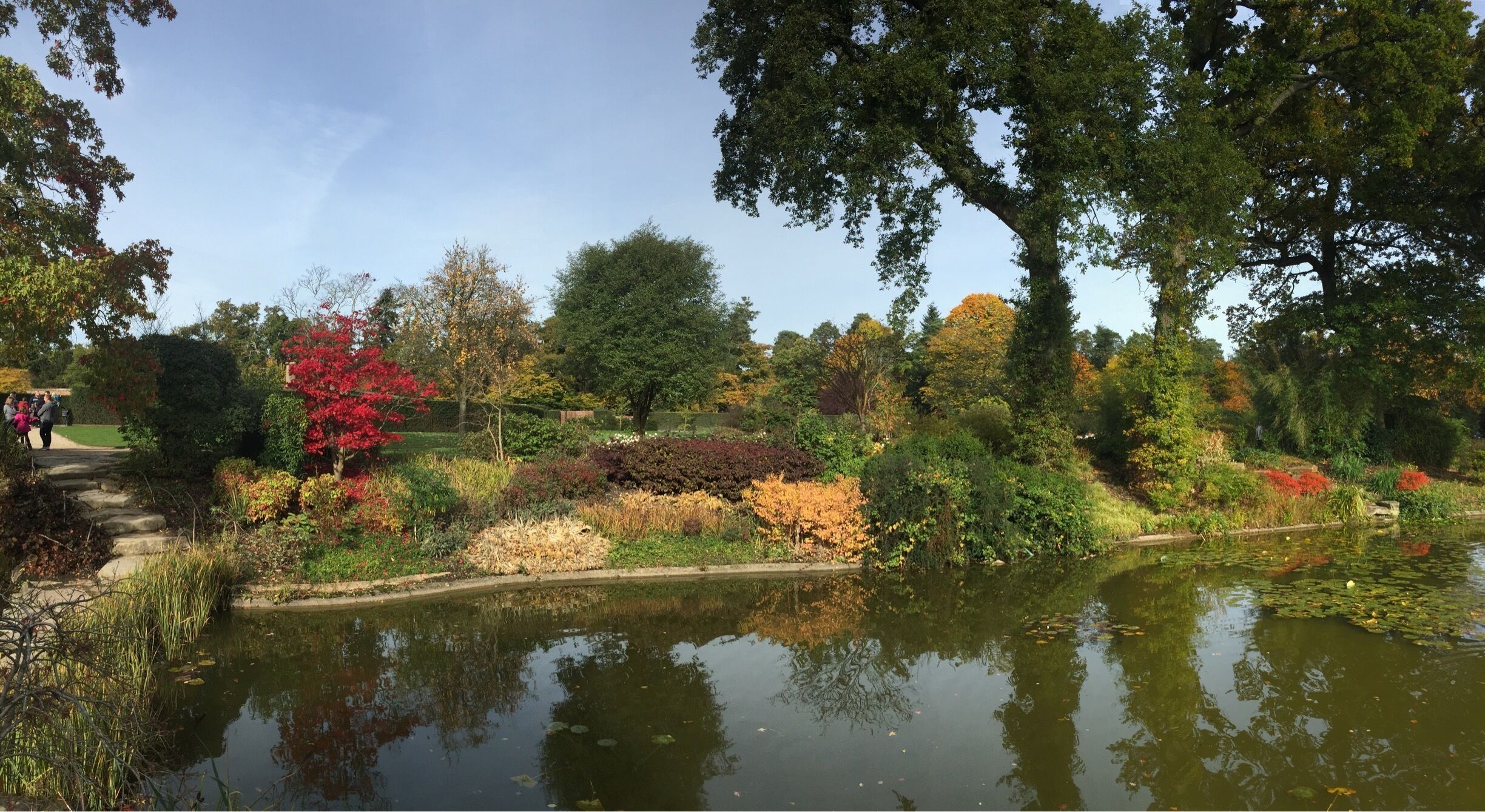 Autumn colours by the Cliveden ornamental ponds 