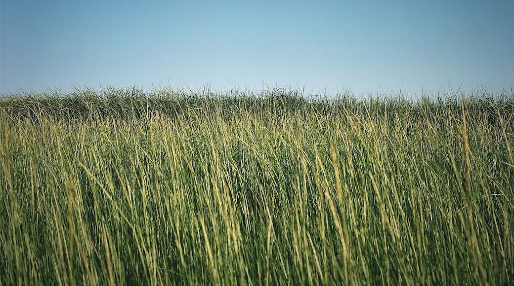 #Patterns
Amazing sunset. Ideal beach for families with young ones.