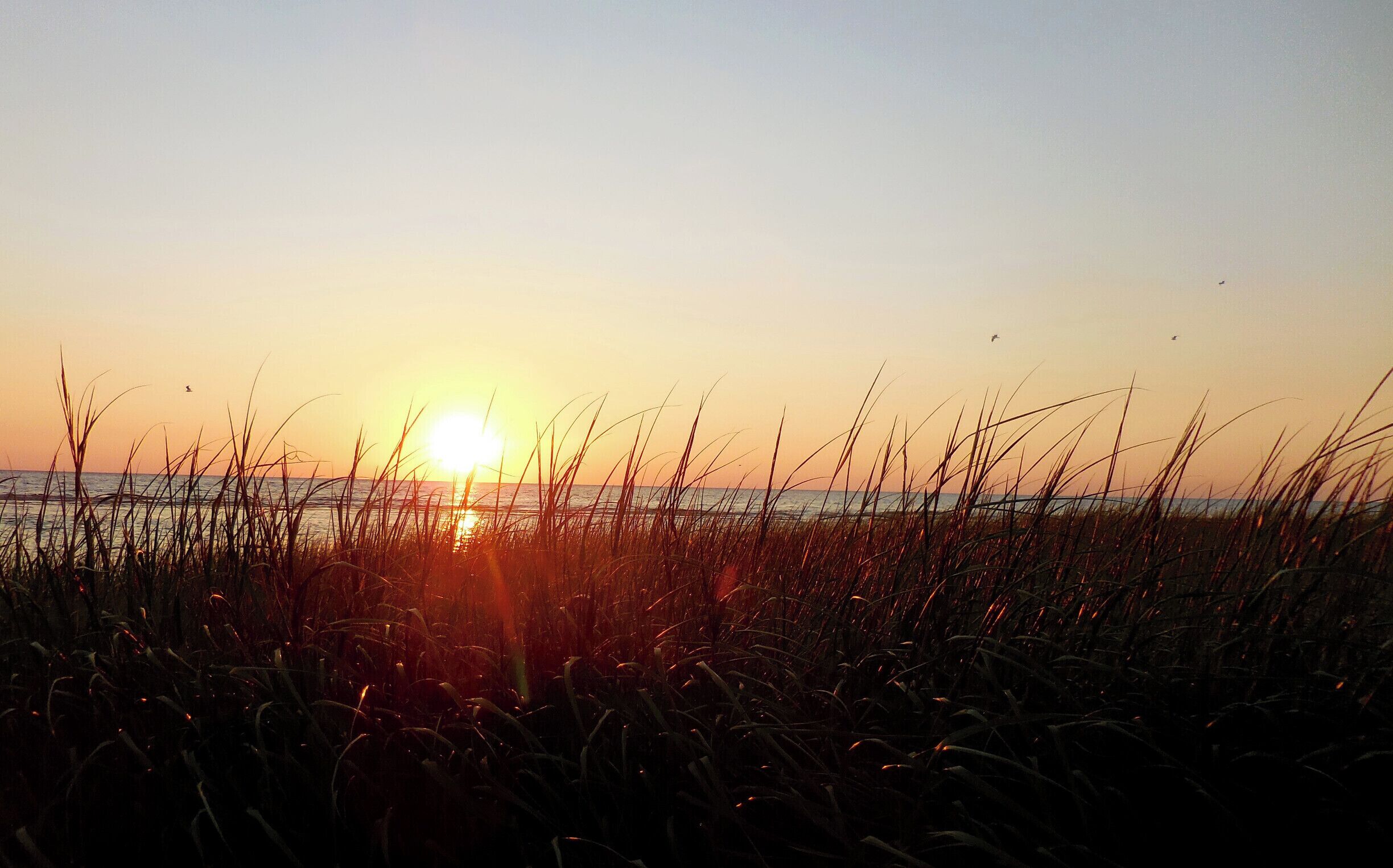 Lovely sunsets on the Cape Cod Bay side of Eastham, while the "ocean" side has the beautiful sunrises.  Warm breezes, abundant wildlife, and the smells of the ocean make this a multiple senses experience.