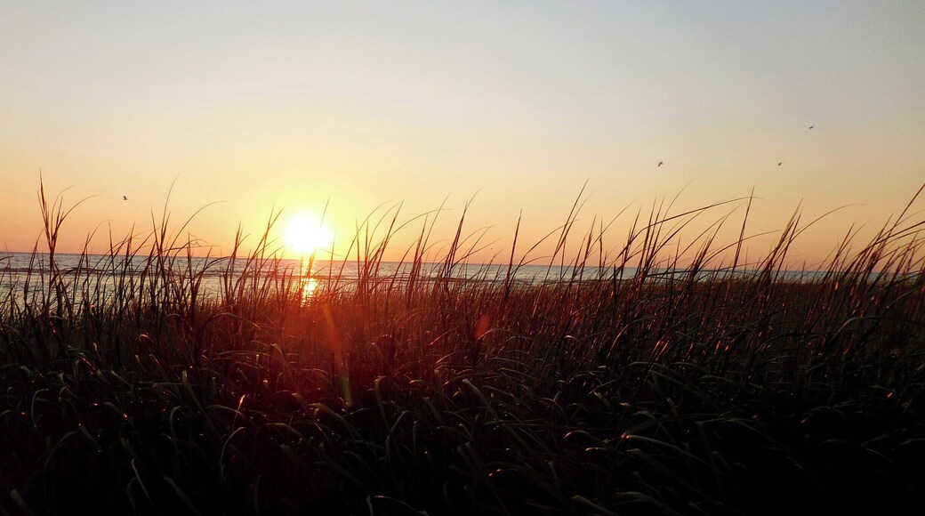 Lovely sunsets on the Cape Cod Bay side of Eastham, while the "ocean" side has the beautiful sunrises. Warm breezes, abundant wildlife, and the smells of the ocean make this a multiple senses experience.