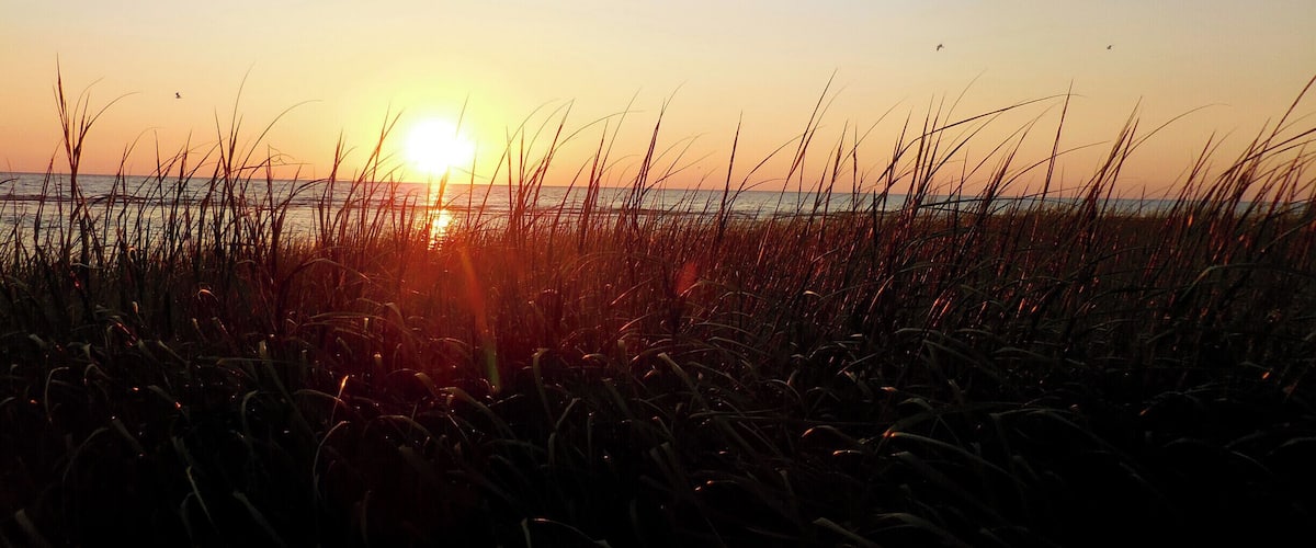 Lovely sunsets on the Cape Cod Bay side of Eastham, while the "ocean" side has the beautiful sunrises. Warm breezes, abundant wildlife, and the smells of the ocean make this a multiple senses experience.