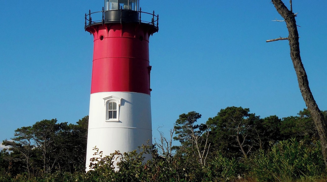 Active Lighthouses are distinguished by their painted pattern, and the color and timing of the light. This stretch of beach has seen the demise of many ships over the centuries. The most recent was the MV Eldia in 1984. Later pulled off the beach the ship went to the scrapyard. Dawn presents the best lighting for photographing the lighthouse.