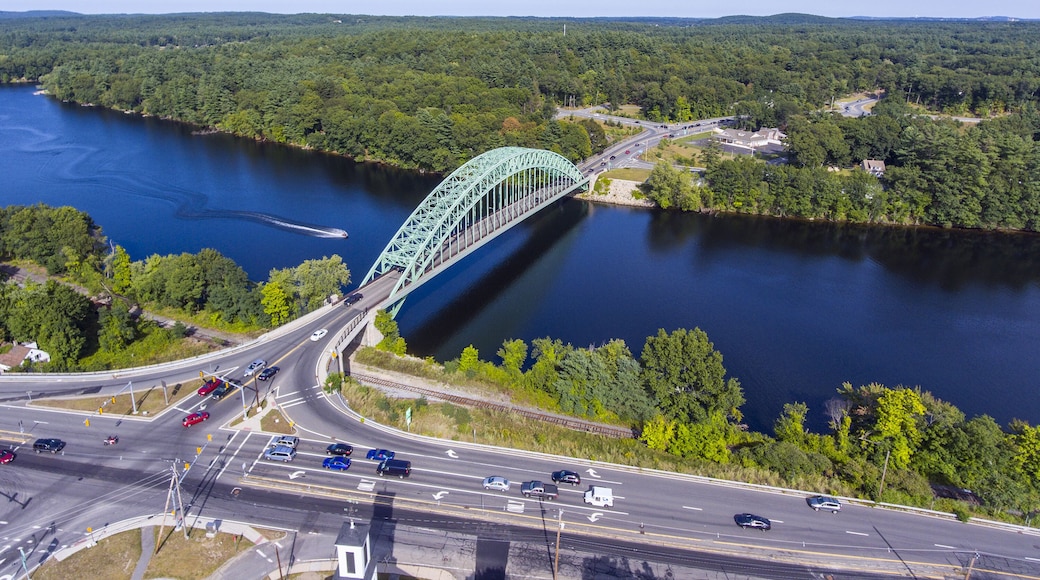 Un puente verde sobre un río, con vegetación circundante y una autopista.