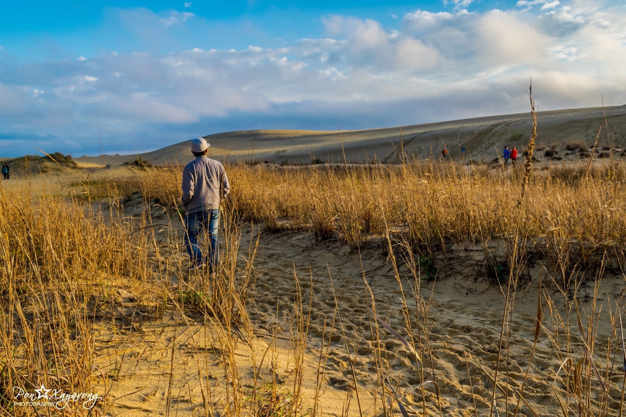 Jockey's Ridge is the Biggest natural sand dune in the east cost.