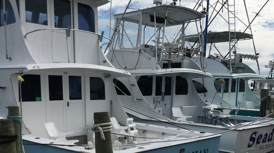 Always breath taking when the boats come in and unload their catches.