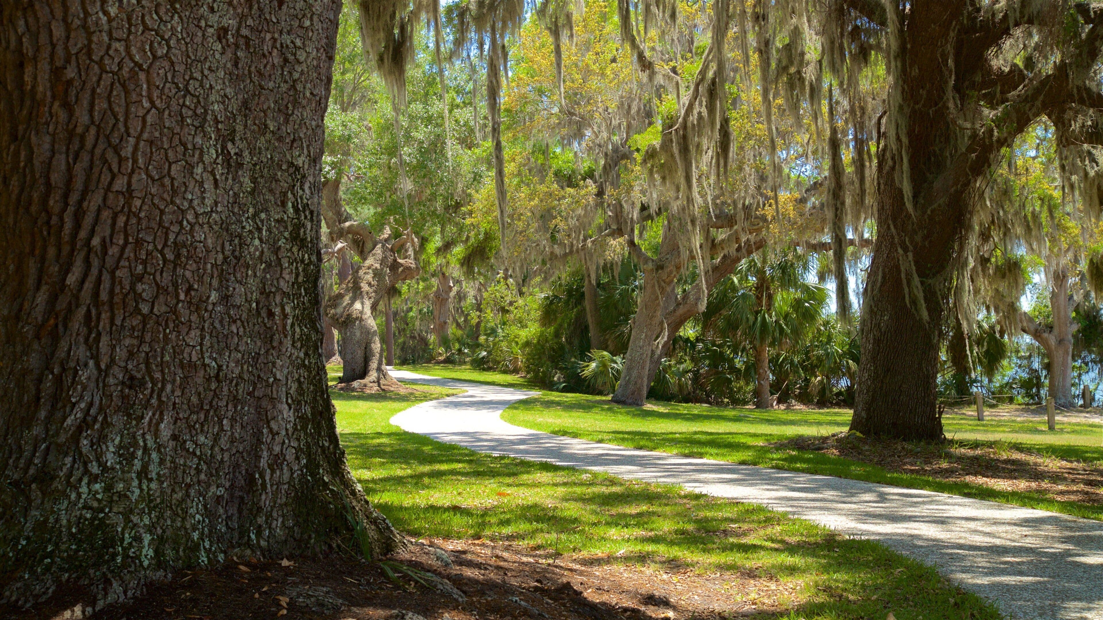 Jekyll Island featuring a garden