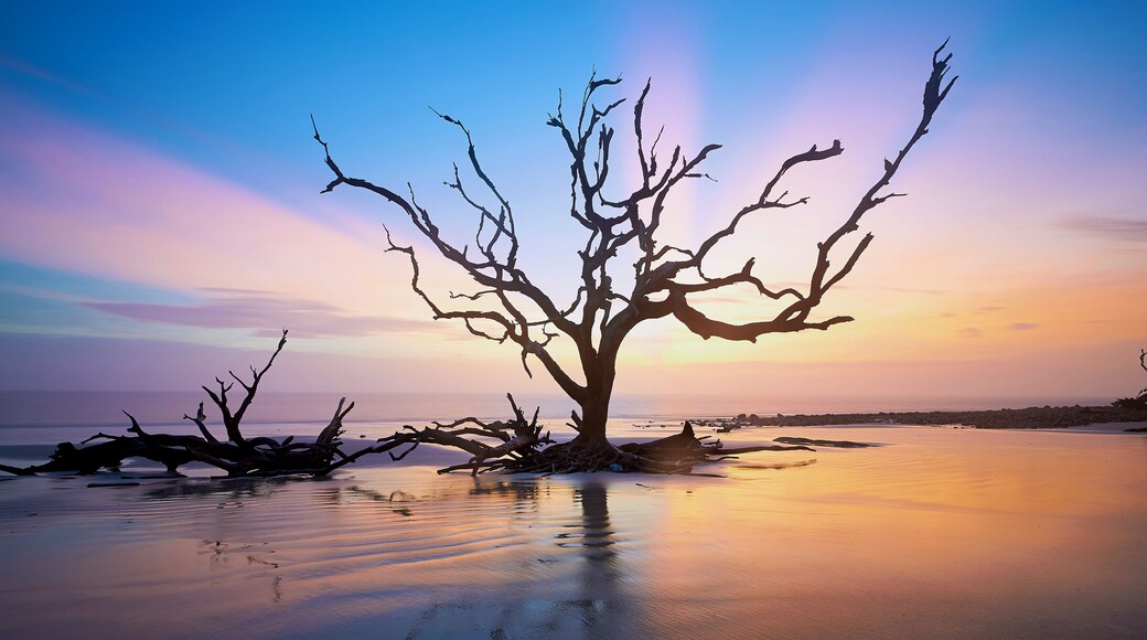 Good location for sunrise/sunset landscape work
Thanks for visiting https://creativenatureart.com/