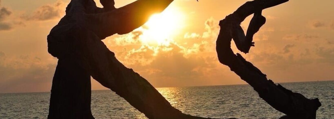 Absolutely worth an early morning to watch the sun rise over Driftwood Beach on Jekyll Island - #beach