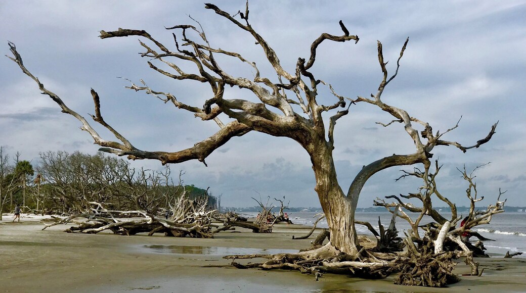 Affectionately and appropriately called âThe Boneyardâ.
Such an interesting place to wander around.