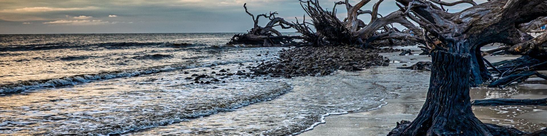 Una playa con un árbol caído, olas y cielo nublado.