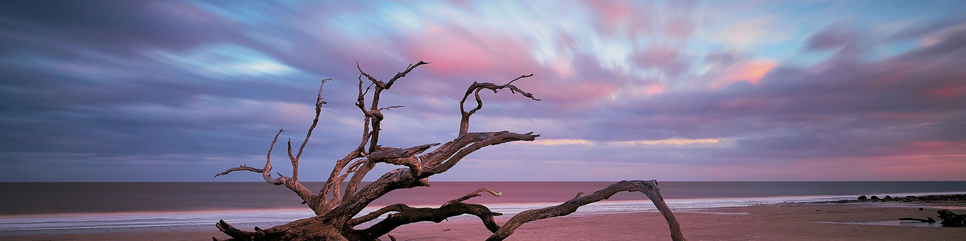 The driftwood beach in Jekyll Island is photographers haven. Good time is early morning, before sunrise. Usually this places is crowded during entire day.
Please visit my gallery at https://creativenatureart.com