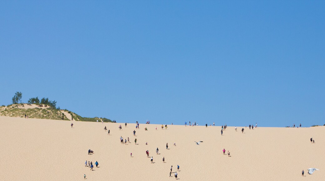 Dune Climb, Sleeping Bear Dunes National Lakeshore, Michigan