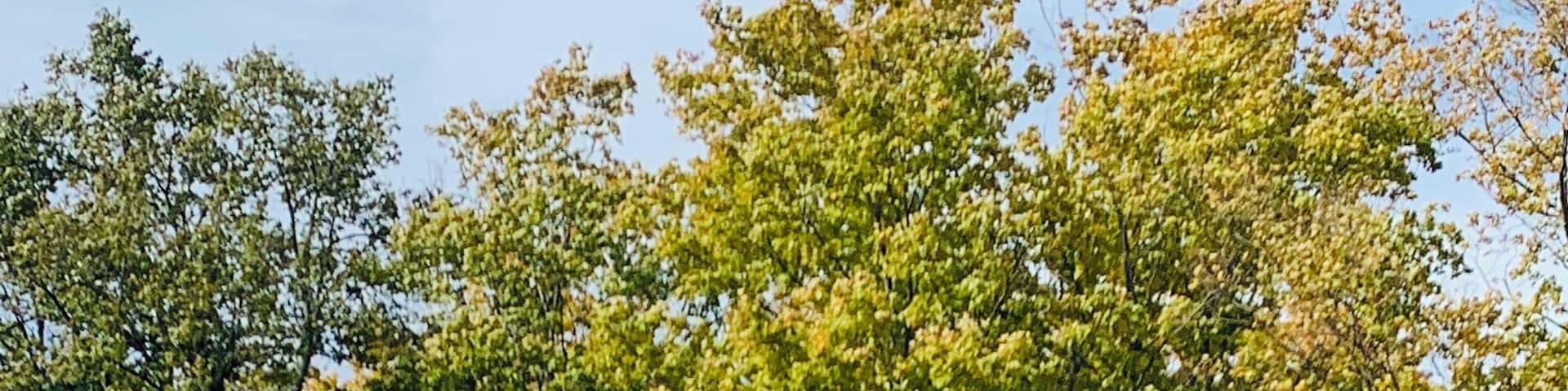 Such a cool city in the heart of Michigan's shoreline.