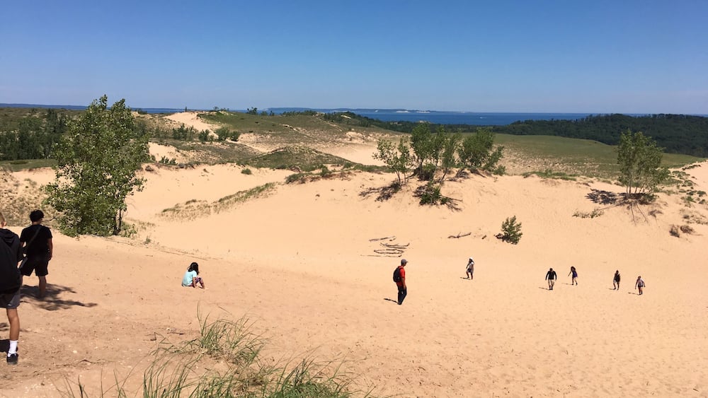 A sandy landscape with dunes, sparse vegetation, and a clear blue sky.