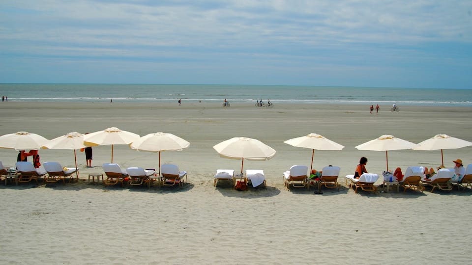A beach with rows of sun loungers and umbrellas, a calm sea, and a clear sky.