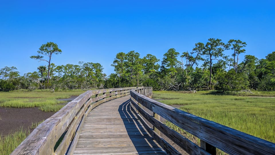 A wooden boardwalk through a marshy area with tall trees and clear blue sky.