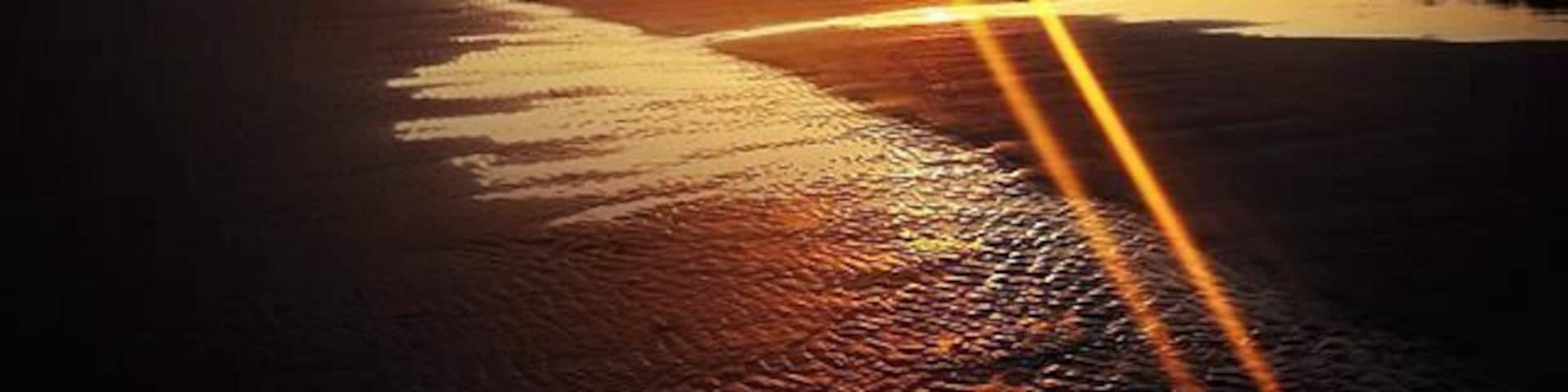 Watch the sunset from Kiawah Beachwalker Park, Kiawah Island, South Carolina. Kiawah is a golf-centered resort island with lots of palmettos, pine trees, and waterbirds. The dolphins practice "strand feeding" here, which is the act of herding the fish up on the beach along with a wave and wriggling up on the sand to retrieve them.
#UStravel
#travel
#naturelovers
#beach
#sunset
#Kiawah
#SouthCarolina
#RVlife
#earthporn
#goldenhour
#camping
#glamping
#wanderlust
#beachbound
www.RVLuckyOrWhat.com