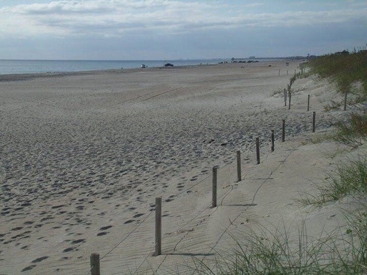 Empty beach on the perfect Fall day. Water was even warm for wading and shelling!