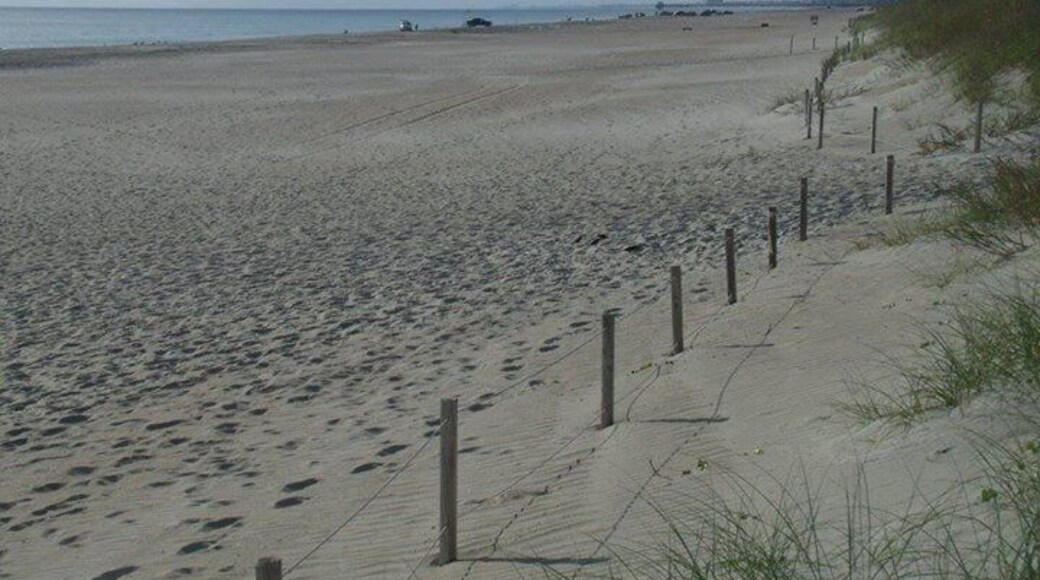 Empty beach on the perfect Fall day. Water was even warm for wading and shelling!