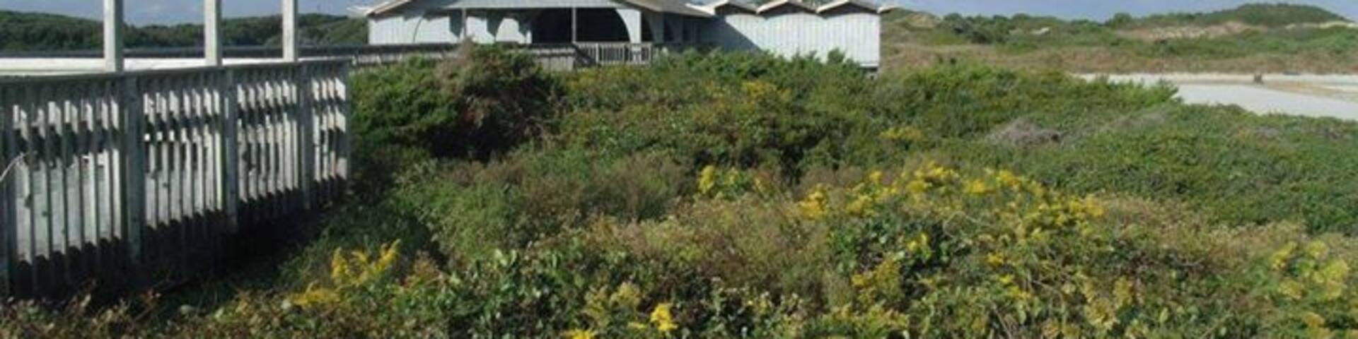 A coastal building with a white roof and a wooden deck, surrounded by dense vegetation and a clear sky.