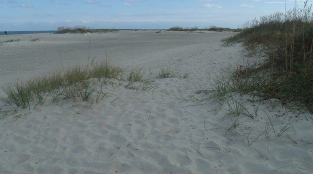 Beautiful Fall day at the Fort Macon Beach. Enjoy the sand and fishing (do swimming or wading allowed).