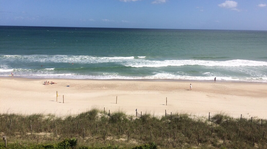 I looked off my balcony, and this is what I saw!