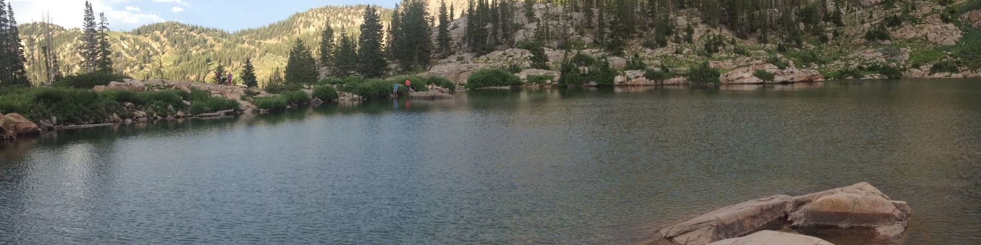 Just beyond Alta is Cecret Lake. It's a beautiful little lake and the trail is only 1 mile long through beautiful wildflowers.