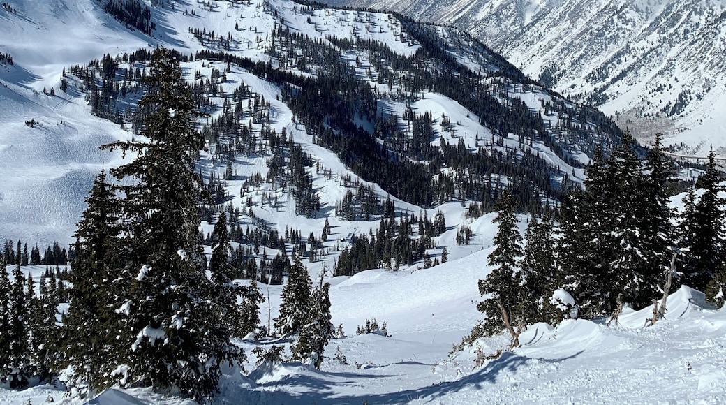 Alta snowbird the best mountain I’ve ever been for snowboarding.