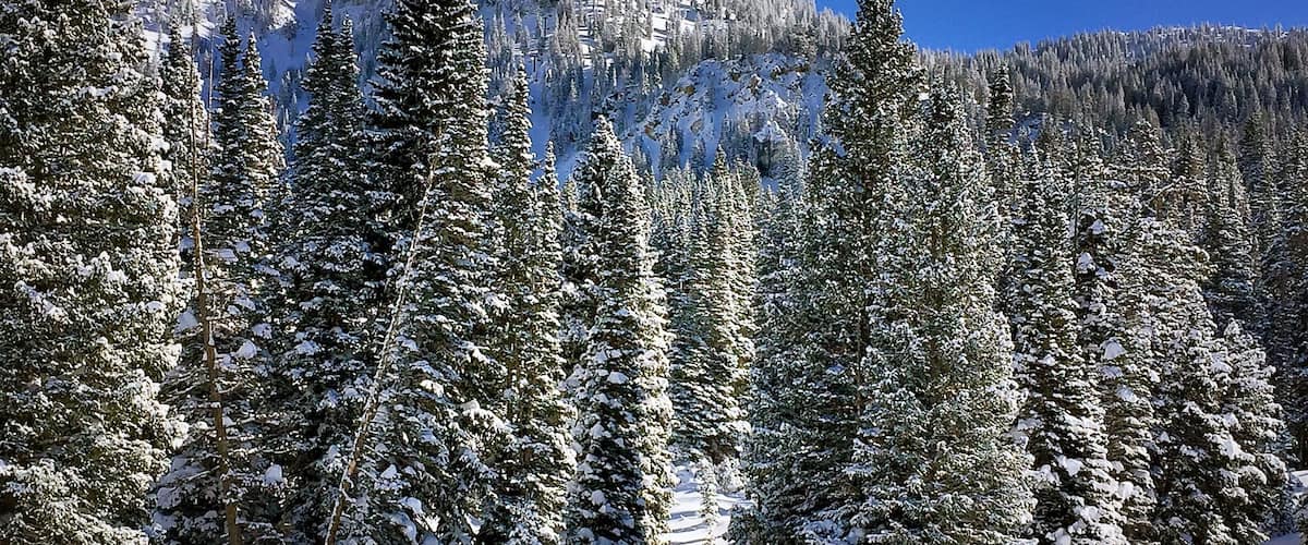 A winter scene captured while skiing at Alta Ski Resort,Utah
#Blue #bestof5