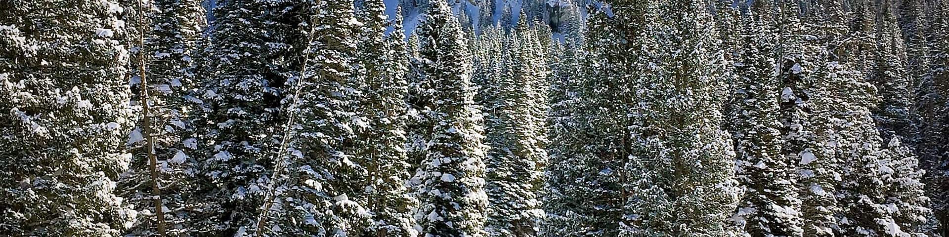 A winter scene captured while skiing at Alta Ski Resort,Utah
#Blue #bestof5