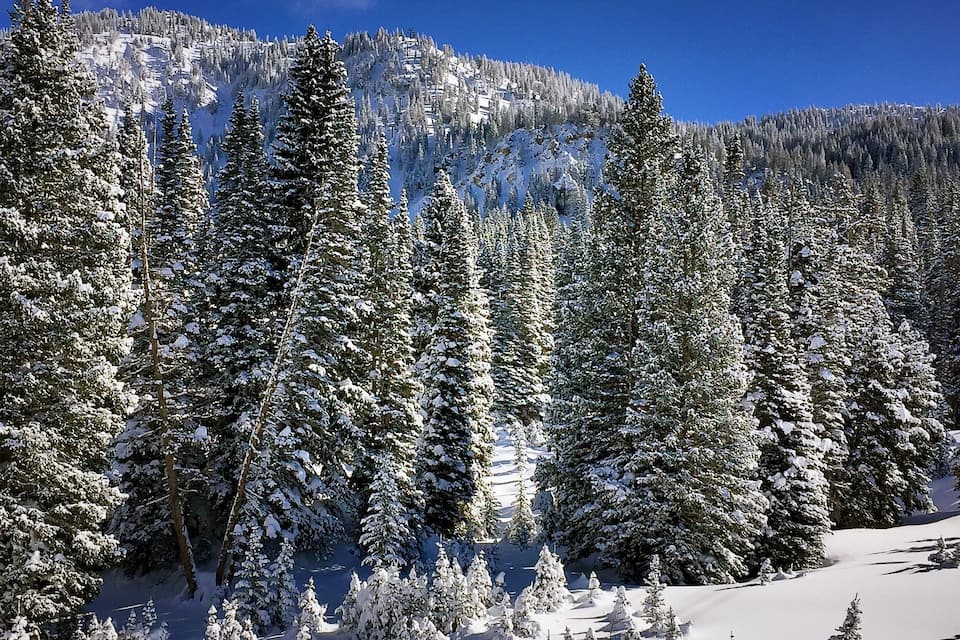 Paisagem de montanha nevada com árvores perenes e céu azul límpido.