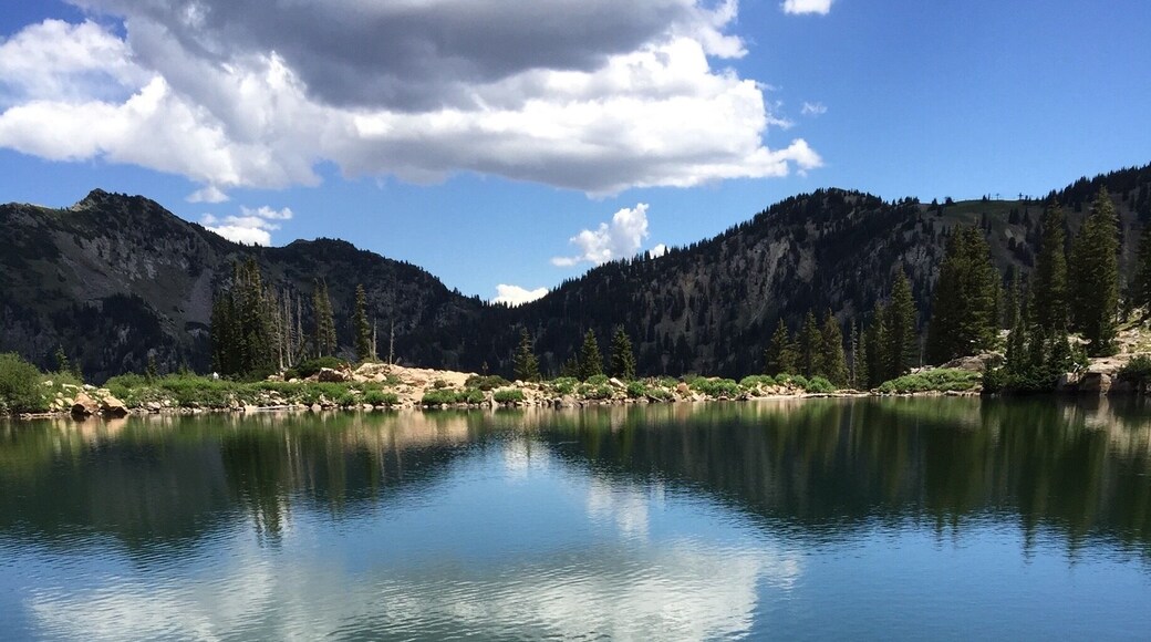 Cecret Lake in late July. Beautiful hike.