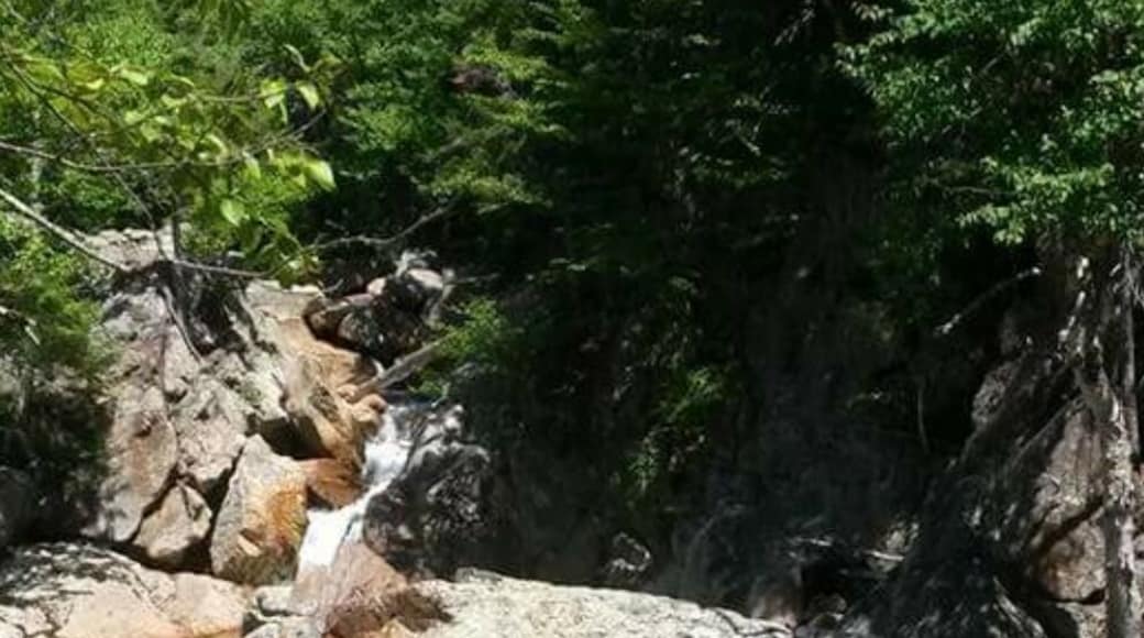 Hiking to the falls
#takeahike
Absolutely stunning.