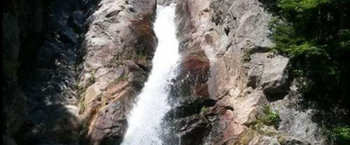 A great, easy hike for people with kids! Surrounded with little swimming holes. It was refreshing to jump in the waterfall and cool off. A peaceful place and just $3 to park to enjoy this beautiful atmosphere. #EndlessSummer