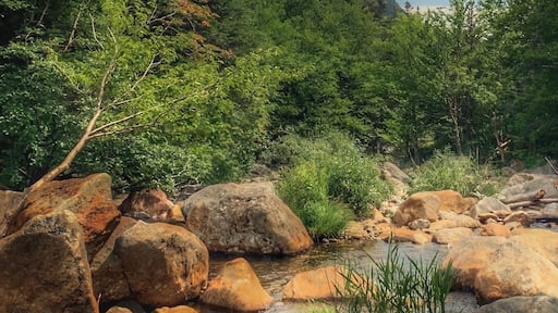 Blue, green and brown = Nature!!!
#Adventure #Hiking #nature