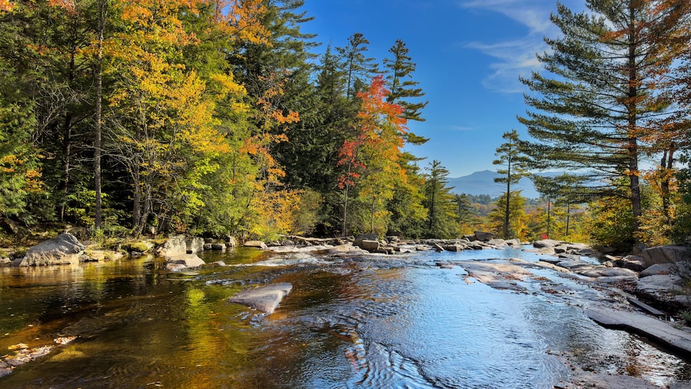 Ein Fluss schlängelt sich durch einen Wald mit herbstlich gefärbten Bäumen und blauem Himmel.