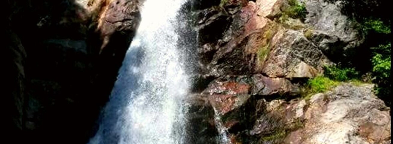 Uma cascata desce por um penhasco rochoso, cercada por vegetação.
