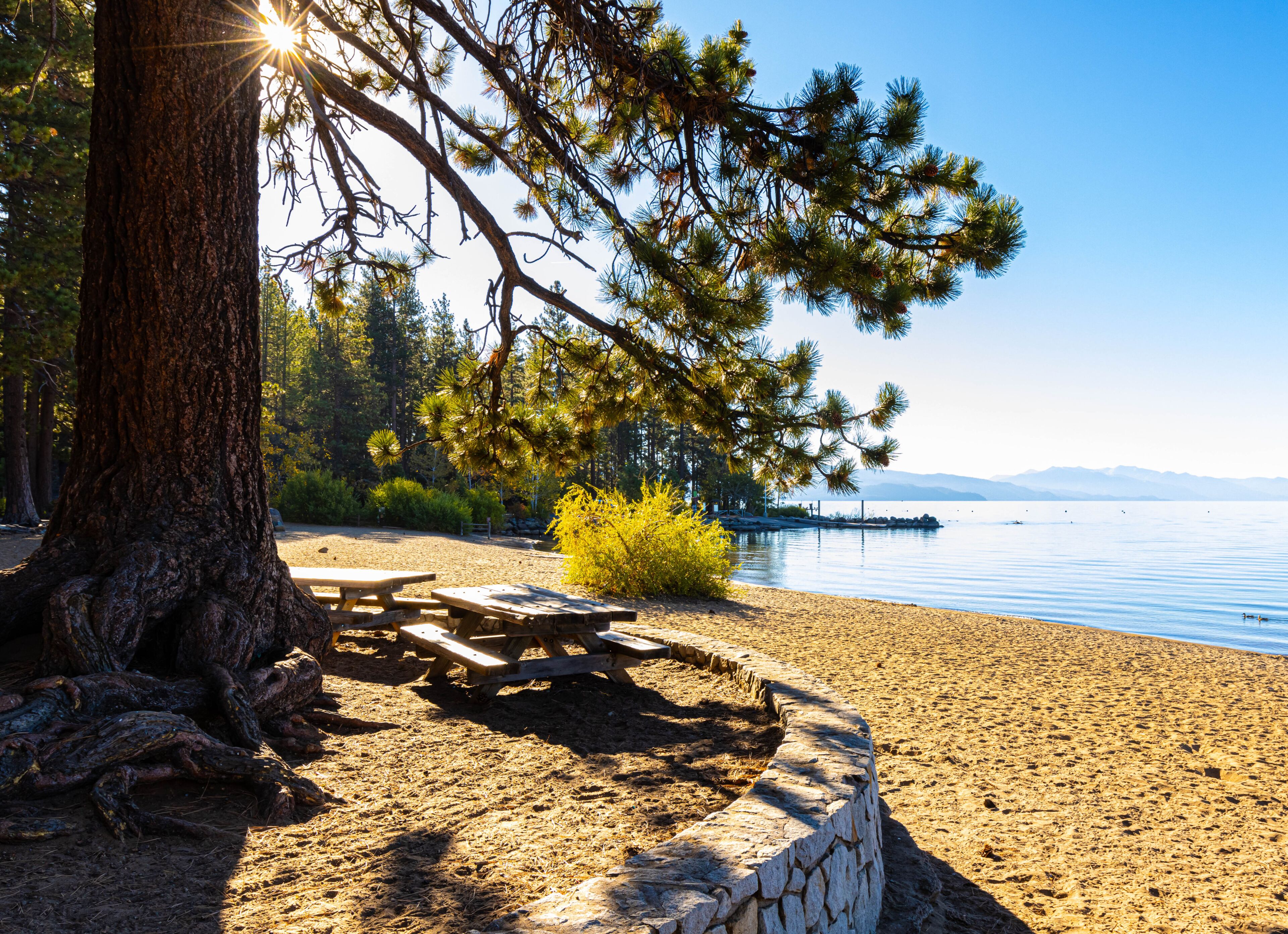 A lakeside picnic area with a stone bench, pine trees, and a clear sky.