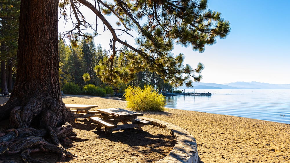 A lakeside picnic area with a stone bench, pine trees, and a clear sky.